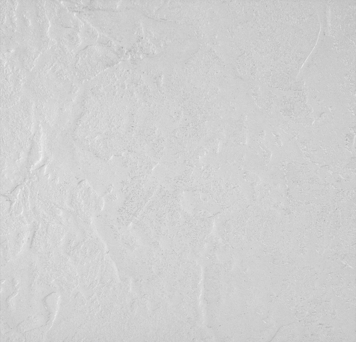 Próbka - Panel ścienny SPC 4 mm Sculpted Stone